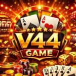 V44 Game