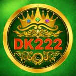 DK222 Game