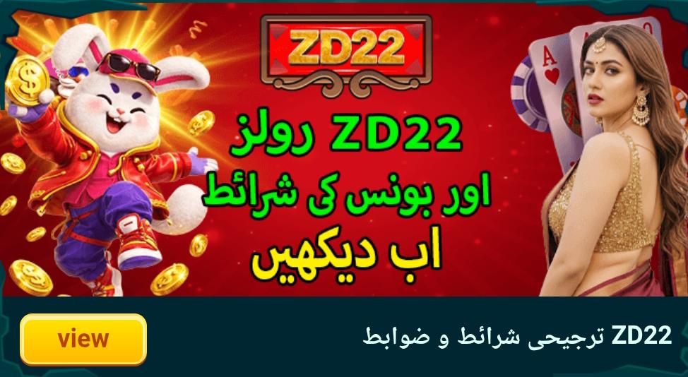 ZD22 Game