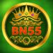 BN55 Game